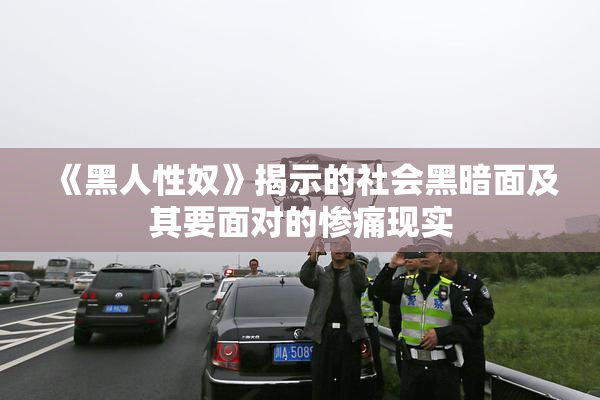 《黑人性奴》揭示的社会黑暗面及其要面对的惨痛现实