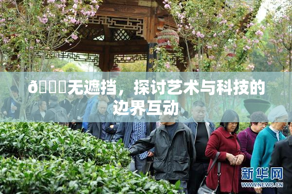🔞无遮挡，探讨艺术与科技的边界互动