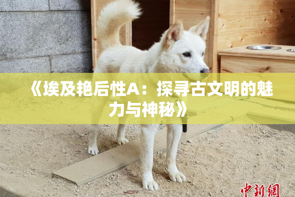 《埃及艳后性A：探寻古文明的魅力与神秘》