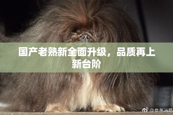 国产老熟新全面升级，品质再上新台阶