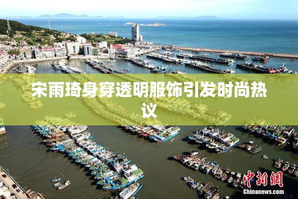 宋雨琦身穿透明服饰引发时尚热议