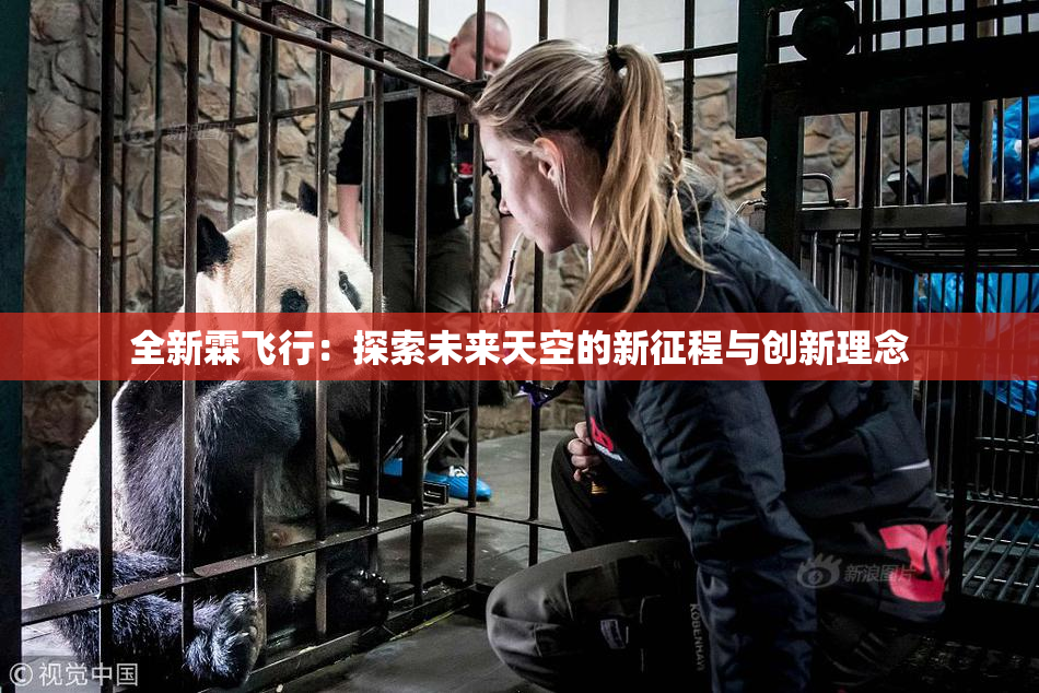全新霖飞行：探索未来天空的新征程与创新理念