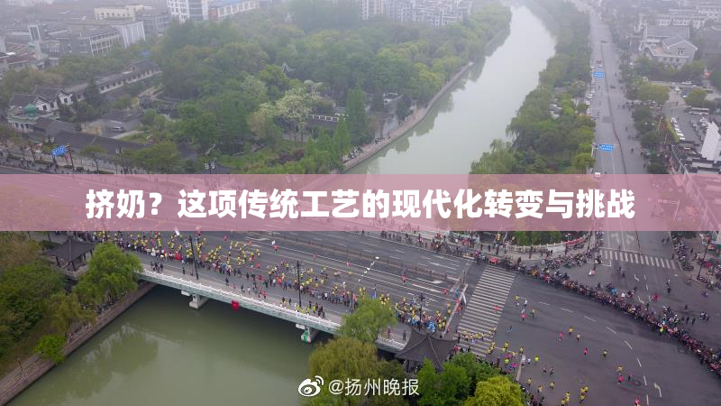 挤奶？这项传统工艺的现代化转变与挑战