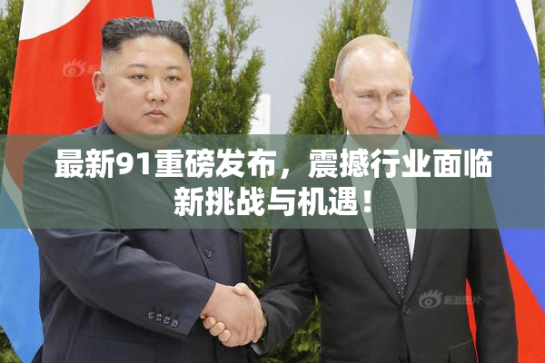 最新91重磅发布，震撼行业面临新挑战与机遇！