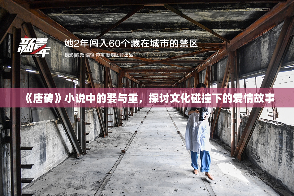 《唐砖》小说中的娶与重，探讨文化碰撞下的爱情故事
