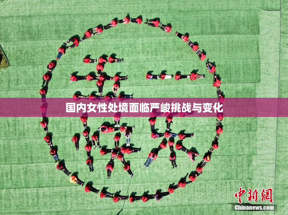 国内女性处境面临严峻挑战与变化