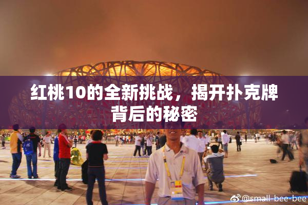 红桃10的全新挑战，揭开扑克牌背后的秘密