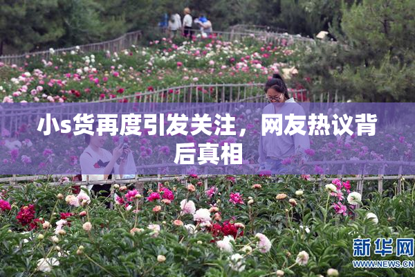 小s货再度引发关注，网友热议背后真相