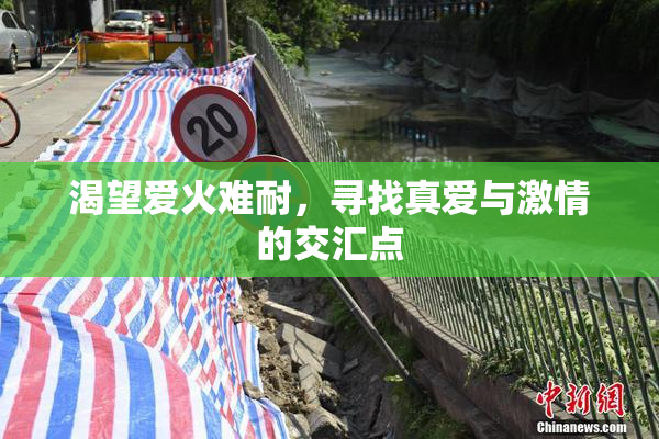 渴望爱火难耐，寻找真爱与激情的交汇点