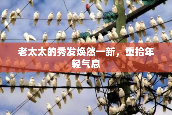 老太太的秀发焕然一新，重拾年轻气息