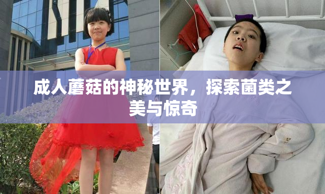 成人蘑菇的神秘世界，探索菌类之美与惊奇