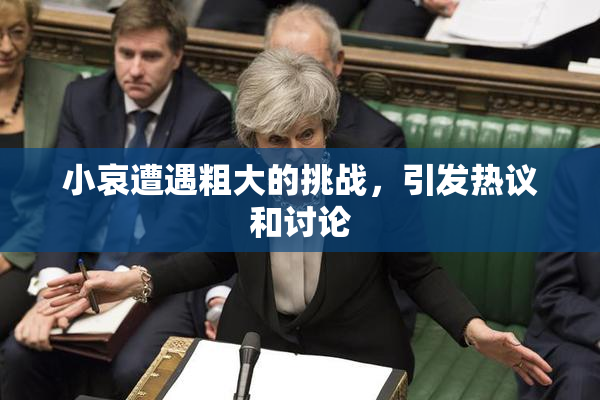 小哀遭遇粗大的挑战，引发热议和讨论