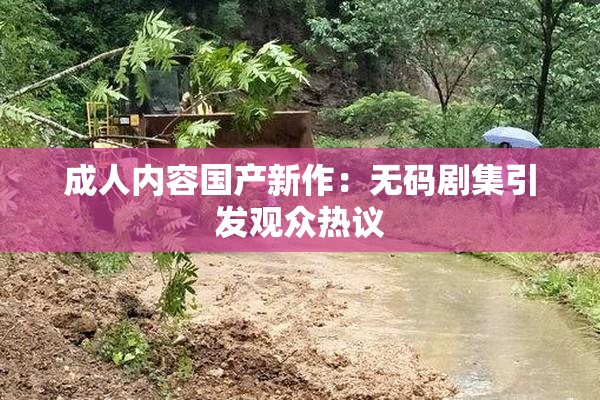 成人内容国产新作：无码剧集引发观众热议