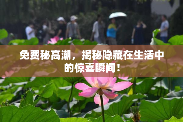 免费秘高潮，揭秘隐藏在生活中的惊喜瞬间！