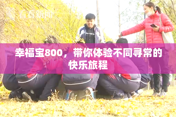 幸福宝800，带你体验不同寻常的快乐旅程