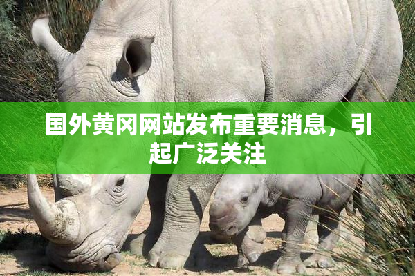 国外黄冈网站发布重要消息，引起广泛关注