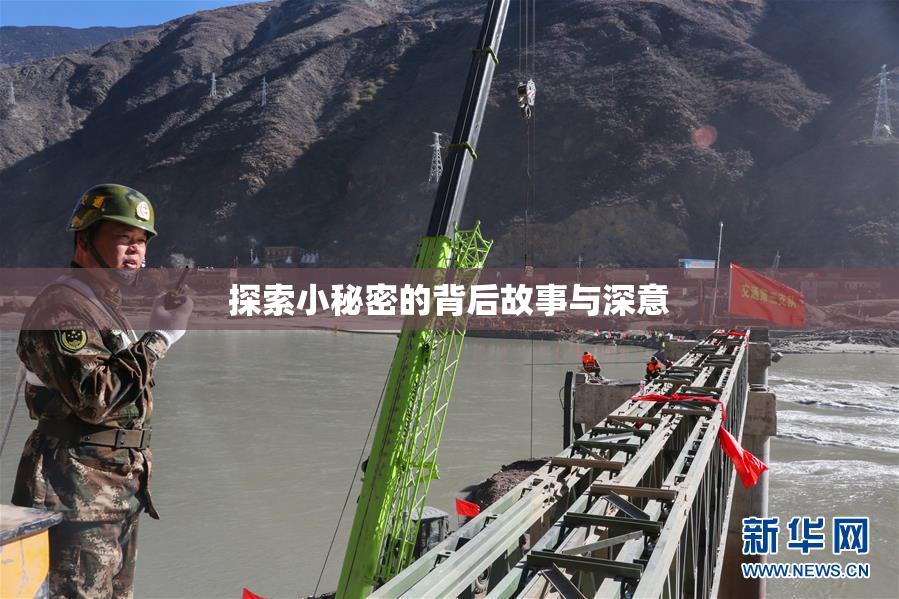 探索小秘密的背后故事与深意