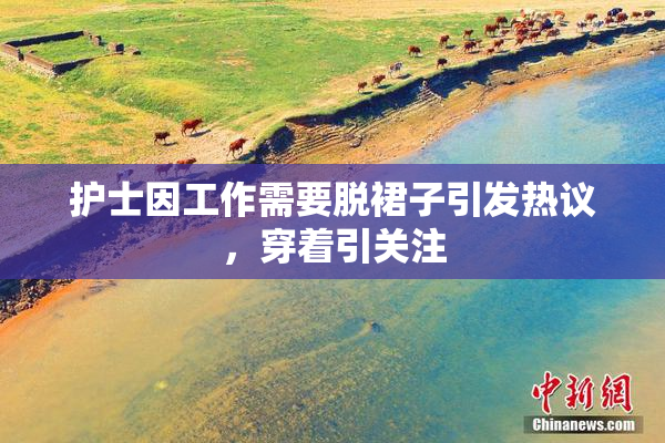 护士因工作需要脱裙子引发热议，穿着引关注
