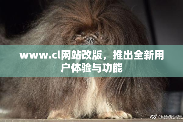 www.cl网站改版，推出全新用户体验与功能