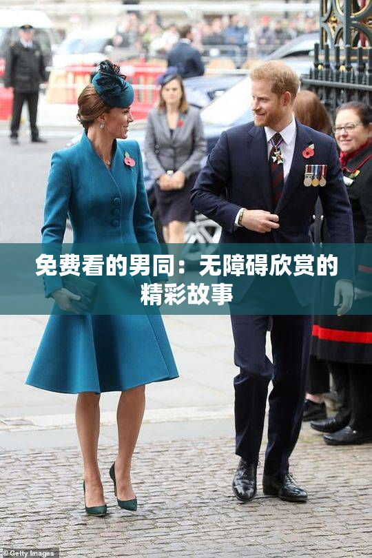 免费看的男同：无障碍欣赏的精彩故事