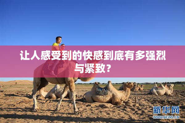 让人感受到的快感到底有多强烈与紧致？
