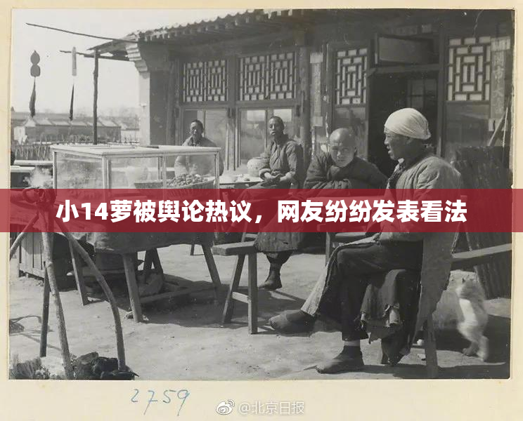 小14萝被舆论热议，网友纷纷发表看法