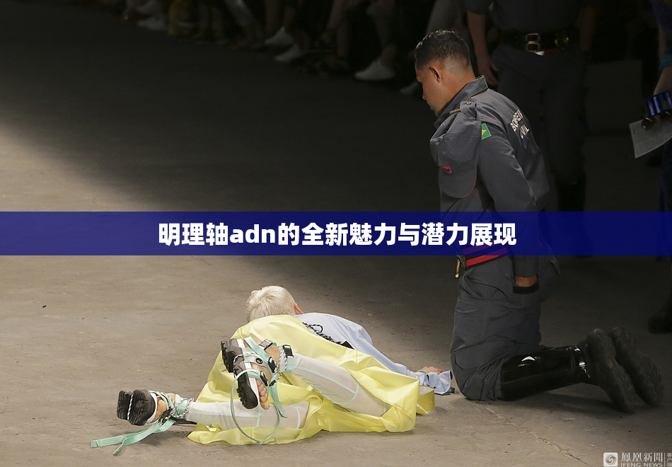 明理轴adn的全新魅力与潜力展现