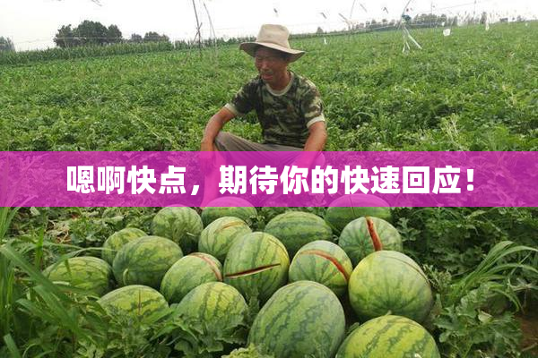嗯啊快点，期待你的快速回应！