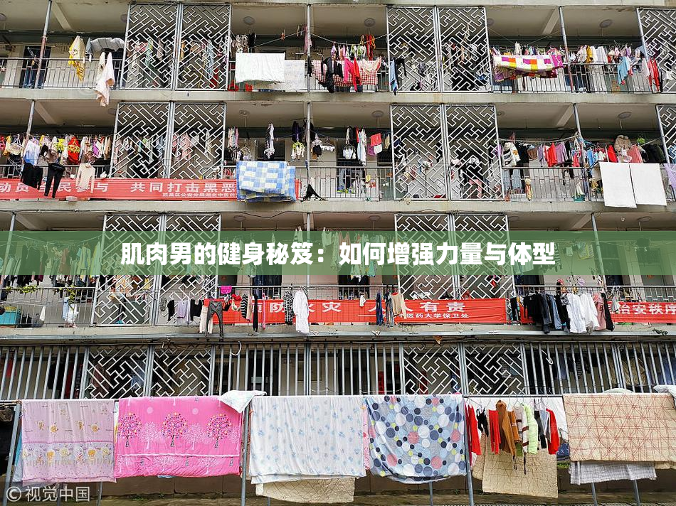 肌肉男的健身秘笈：如何增强力量与体型