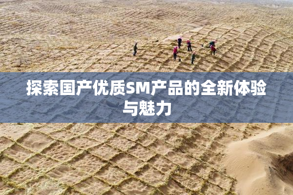 探索国产优质SM产品的全新体验与魅力