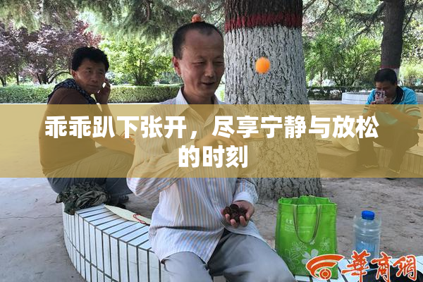 乖乖趴下张开，尽享宁静与放松的时刻