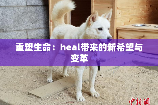 重塑生命：heal带来的新希望与变革