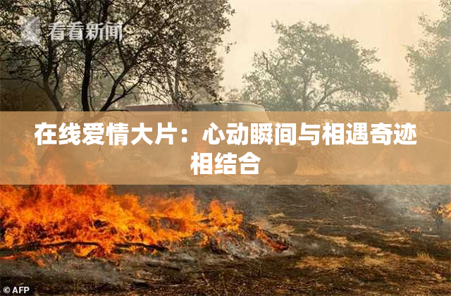 在线爱情大片：心动瞬间与相遇奇迹相结合