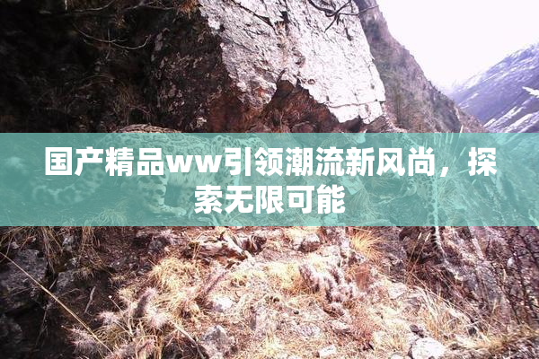 国产精品ww引领潮流新风尚，探索无限可能