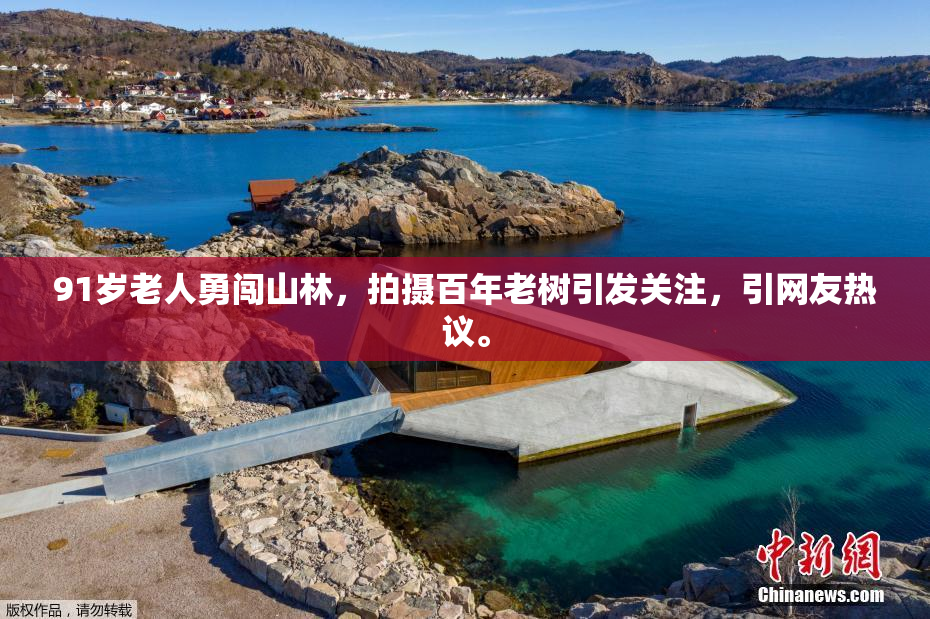 91岁老人勇闯山林，拍摄百年老树引发关注，引网友热议。