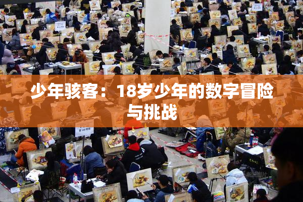 少年骇客：18岁少年的数字冒险与挑战