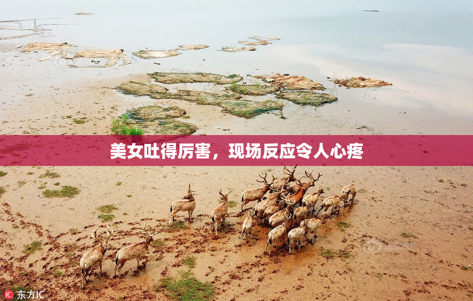 美女吐得厉害，现场反应令人心疼