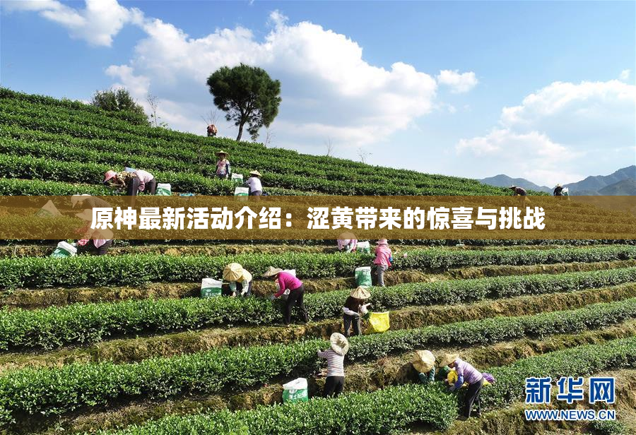 原神最新活动介绍：涩黄带来的惊喜与挑战