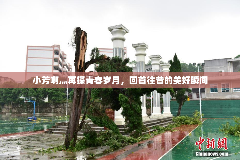 小芳啊灬再探青春岁月，回首往昔的美好瞬间