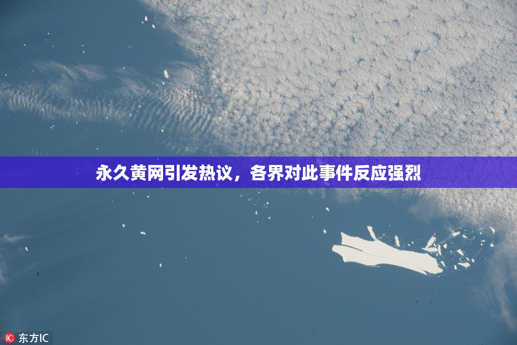 永久黄网引发热议，各界对此事件反应强烈