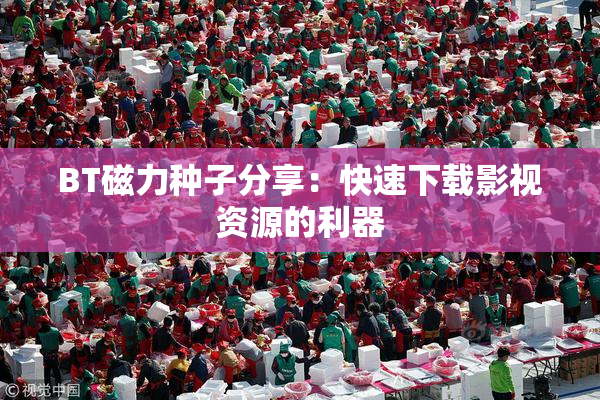 BT磁力种子分享：快速下载影视资源的利器