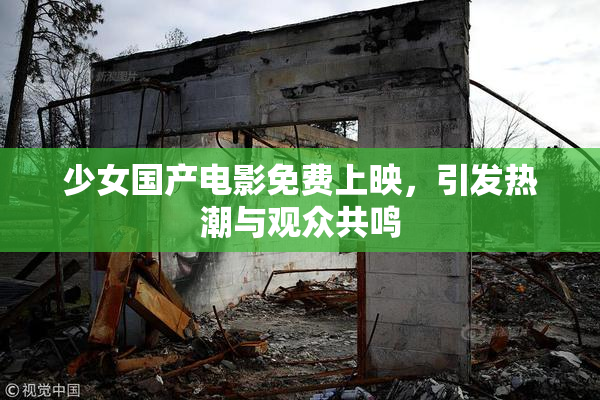 少女国产电影免费上映，引发热潮与观众共鸣