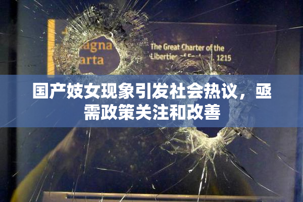 国产妓女现象引发社会热议，亟需政策关注和改善