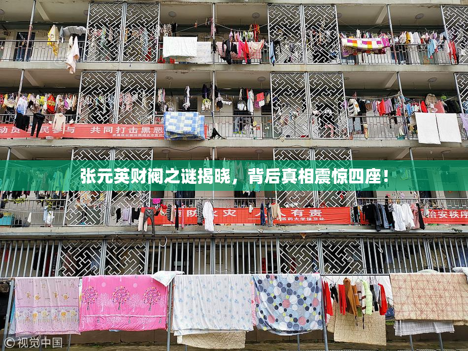 张元英财阀之谜揭晓，背后真相震惊四座！