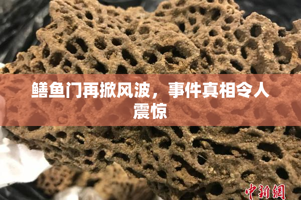 鳝鱼门再掀风波，事件真相令人震惊