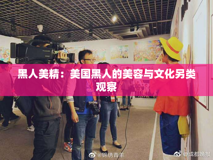 黑人美精：美国黑人的美容与文化另类观察