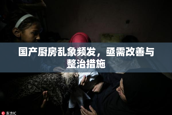 国产厨房乱象频发，亟需改善与整治措施