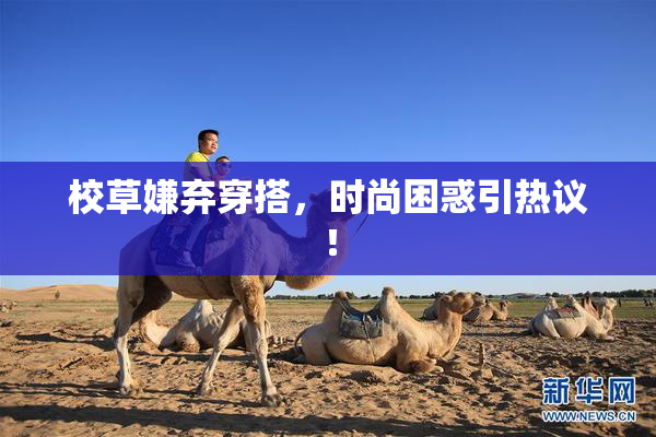 校草嫌弃穿搭，时尚困惑引热议！