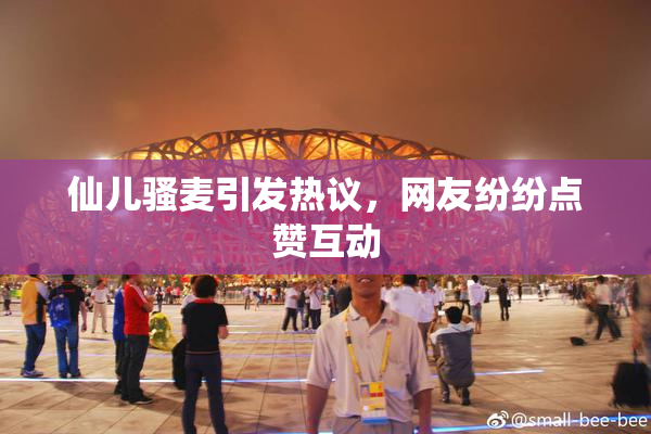 仙儿骚麦引发热议，网友纷纷点赞互动