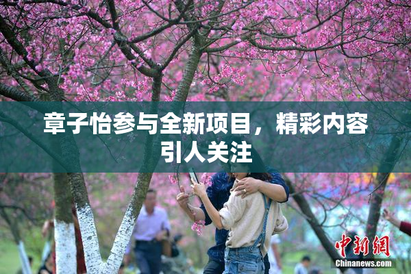章子怡参与全新项目，精彩内容引人关注